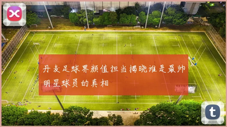丹麦足球界颜值担当揭晓谁是最帅明星球员的真相
