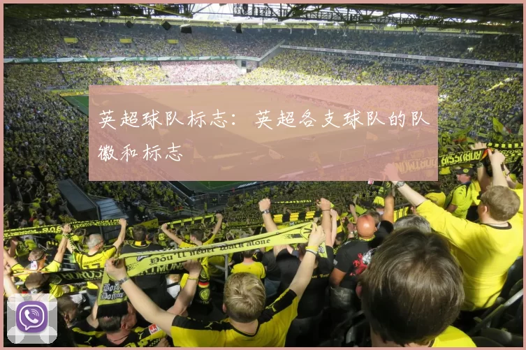 英超球队标志：英超各支球队的队徽和标志