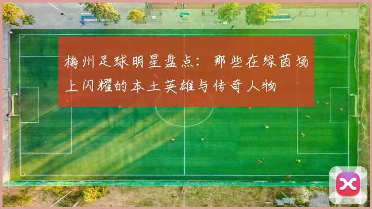 梅州足球明星盘点：那些在绿茵场上闪耀的本土英雄与传奇人物