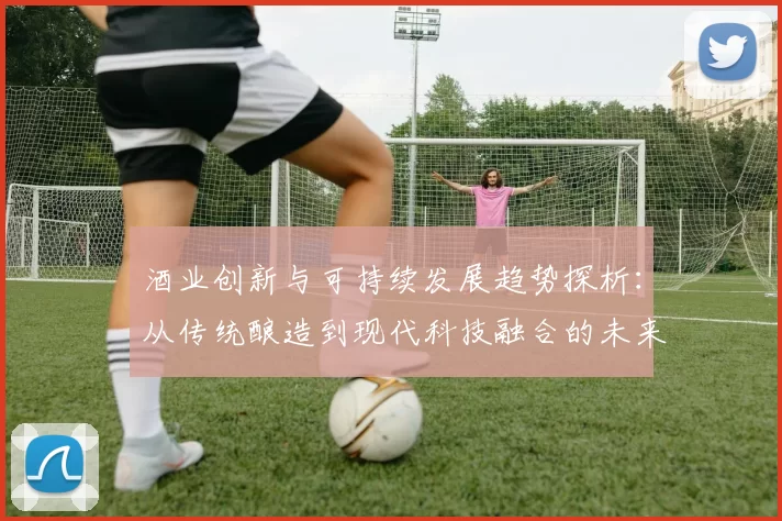 酒业创新与可持续发展趋势探析：从传统酿造到现代科技融合的未来之路