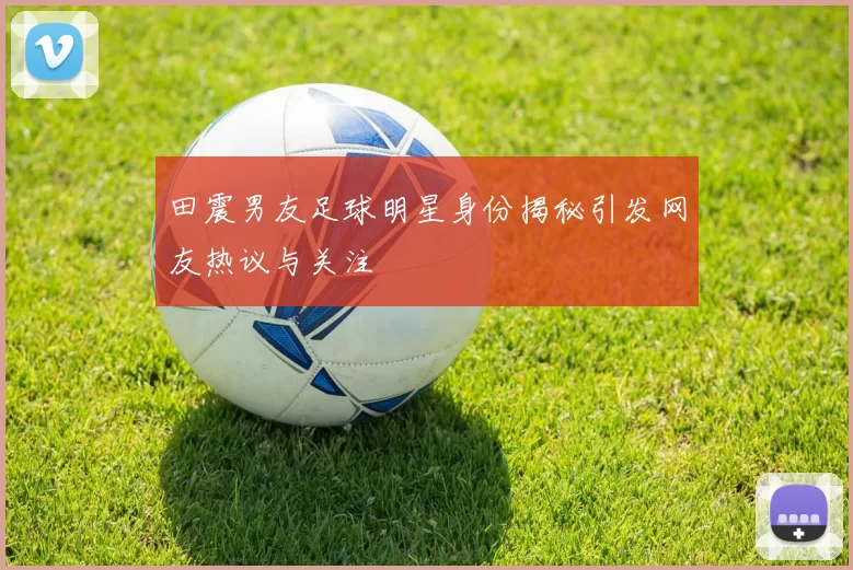 田震男友足球明星身份揭秘引发网友热议与关注