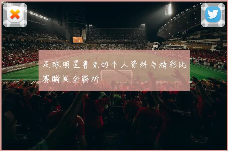 足球明星鲁克的个人资料与精彩比赛瞬间全解析