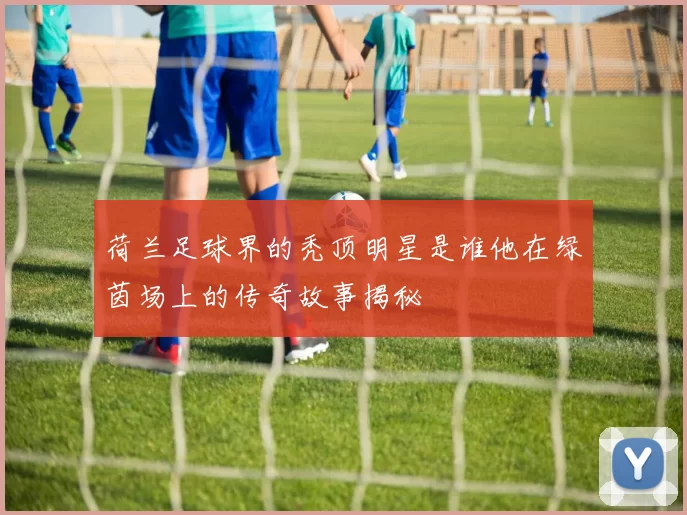 荷兰足球界的秃顶明星是谁他在绿茵场上的传奇故事揭秘