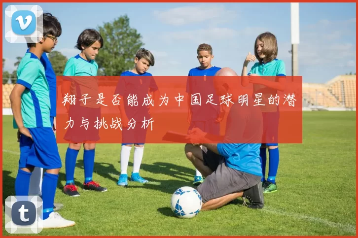 翔子是否能成为中国足球明星的潜力与挑战分析