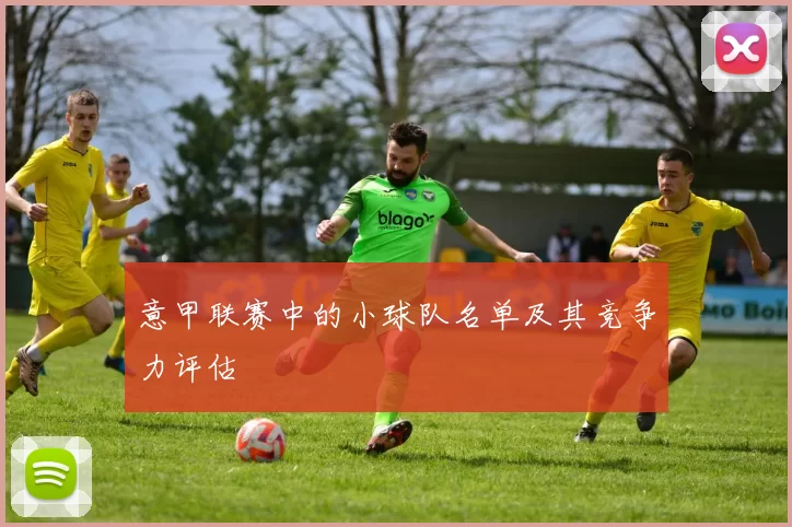 意甲联赛中的小球队名单及其竞争力评估