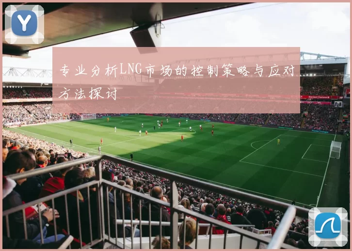 专业分析LNG市场的控制策略与应对方法探讨