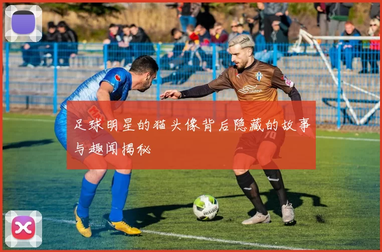 足球明星的猫头像背后隐藏的故事与趣闻揭秘
