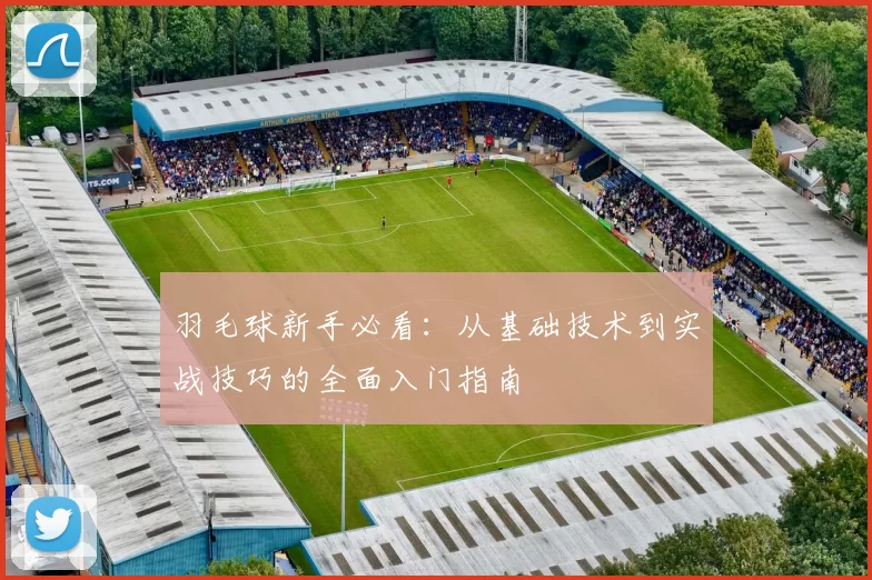 羽毛球新手必看：从基础技术到实战技巧的全面入门指南