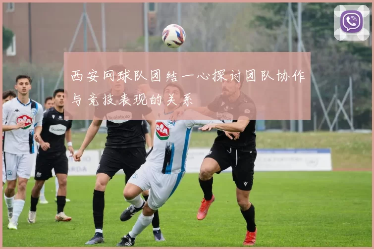 西安网球队团结一心探讨团队协作与竞技表现的关系