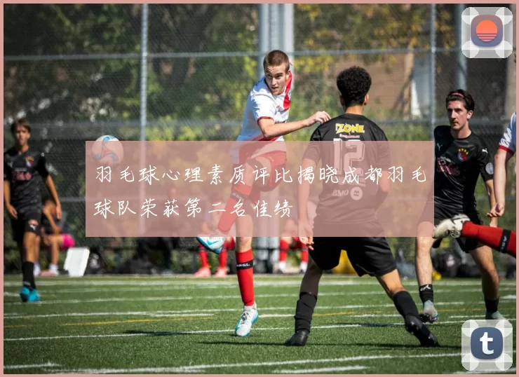 羽毛球心理素质评比揭晓成都羽毛球队荣获第二名佳绩