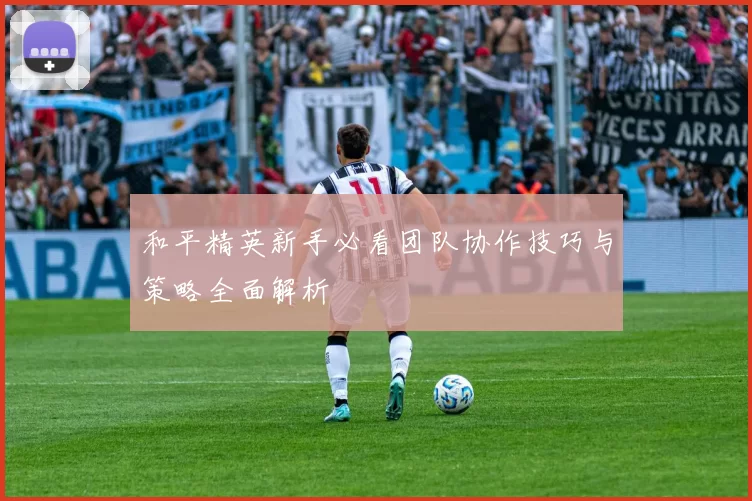 和平精英新手必看团队协作技巧与策略全面解析