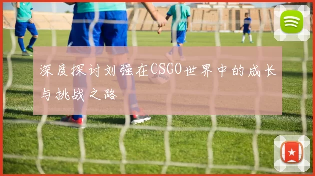 深度探讨刘强在CSGO世界中的成长与挑战之路