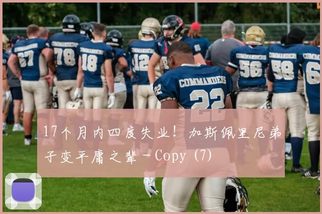 17个月内四度失业！加斯佩里尼弟子变平庸之辈 - Copy (7)