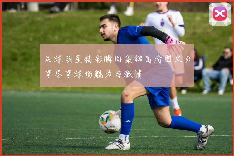 足球明星精彩瞬间集锦高清图文分享尽享球场魅力与激情