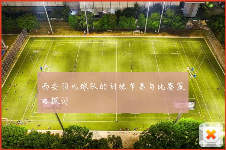 西安羽毛球队的训练节奏与比赛策略探讨