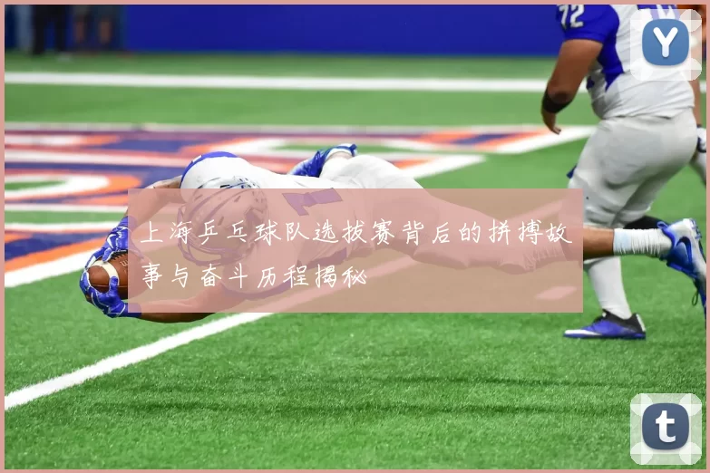 上海乒乓球队选拔赛背后的拼搏故事与奋斗历程揭秘