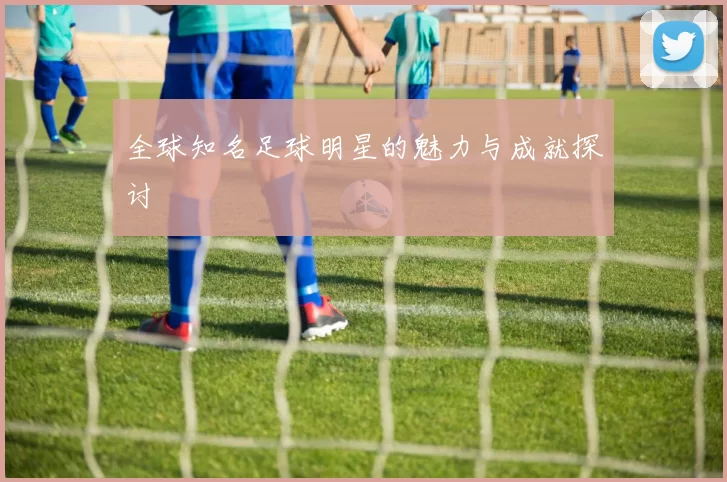 全球知名足球明星的魅力与成就探讨