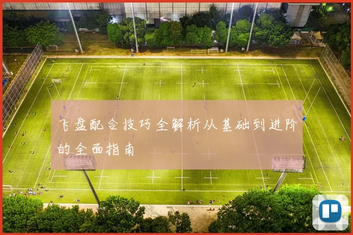 飞盘配合技巧全解析从基础到进阶的全面指南