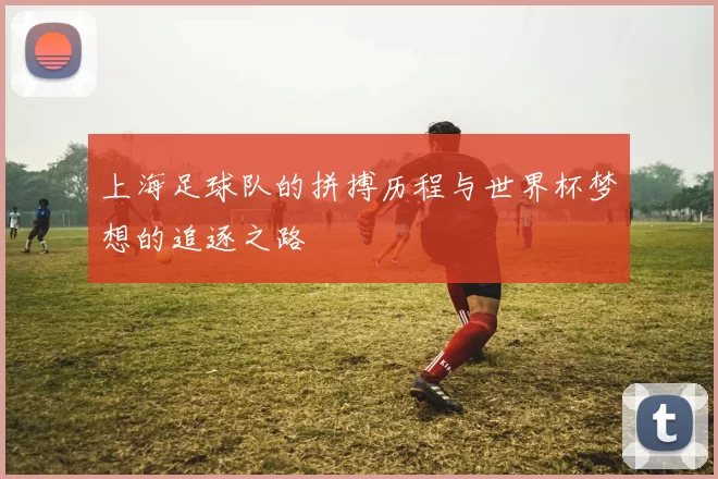 上海足球队的拼搏历程与世界杯梦想的追逐之路
