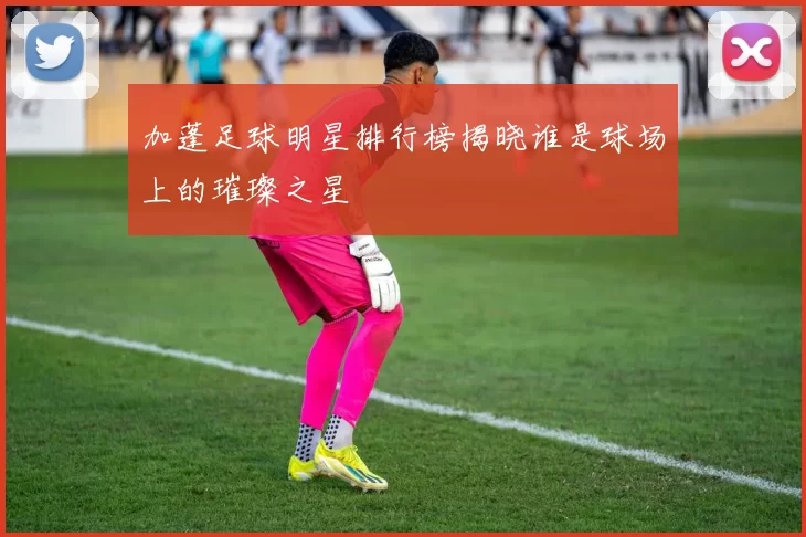 加蓬足球明星排行榜揭晓谁是球场上的璀璨之星