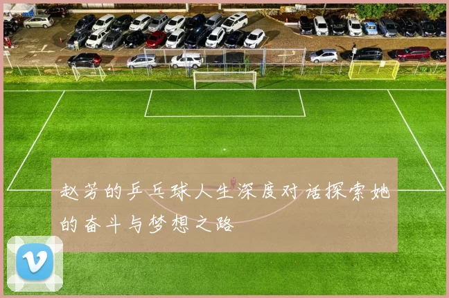赵芳的乒乓球人生深度对话探索她的奋斗与梦想之路