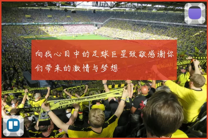 向我心目中的足球巨星致敬感谢你们带来的激情与梦想