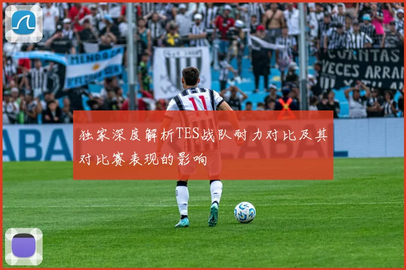 独家深度解析TES战队耐力对比及其对比赛表现的影响