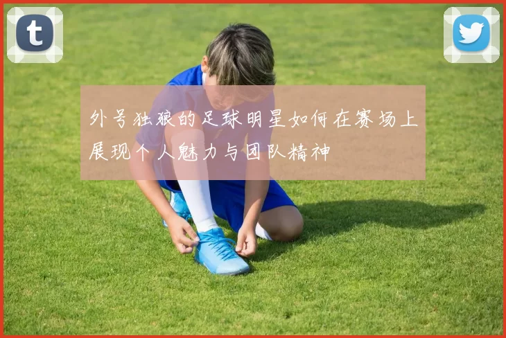 外号独狼的足球明星如何在赛场上展现个人魅力与团队精神