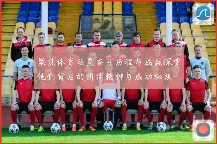 聚焦体育明星奋斗历程与成就探索他们背后的拼搏精神与成功秘诀